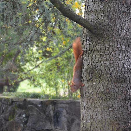 Domaine Insolite Du Petit Moras Chomérac Buitenkant foto