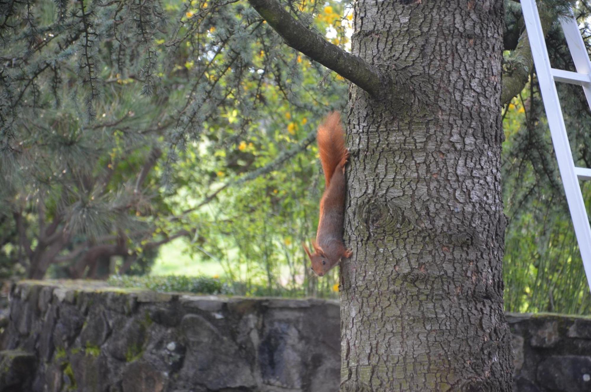 Domaine Insolite Du Petit Moras Chomérac Buitenkant foto
